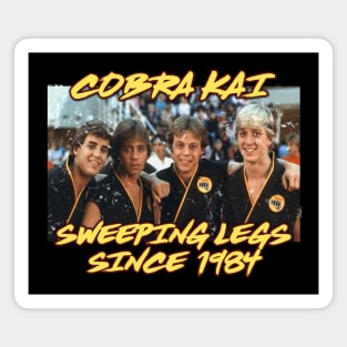 Cobra Kai Vintage Team (1984) Magnet